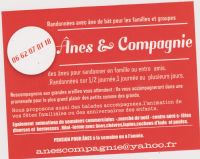 Anes & Compagnie: randonnée avec ânes de bât pour les familles ou groupes en Morbihan Bretagne-Sud.. Du 31 mars au 31 décembre 2013 à MOLAC. Morbihan. 